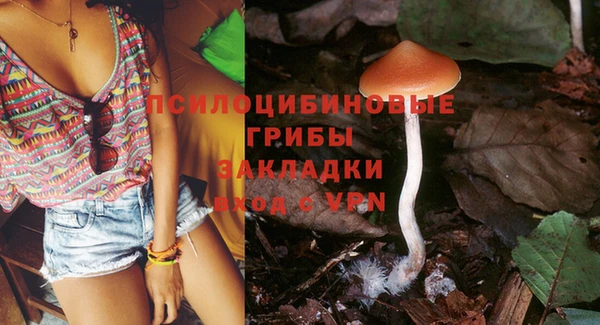 2c-b Мегион