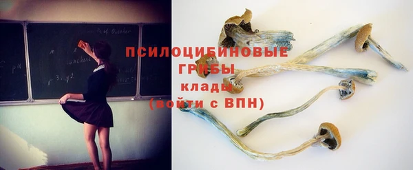 дживик Алексин