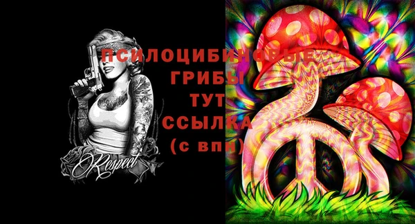 тгк Алзамай