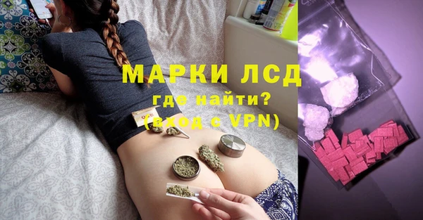 тгк Алзамай