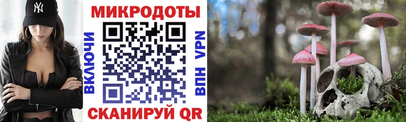 Псилоцибиновые грибы Psilocybe  Сосенский 