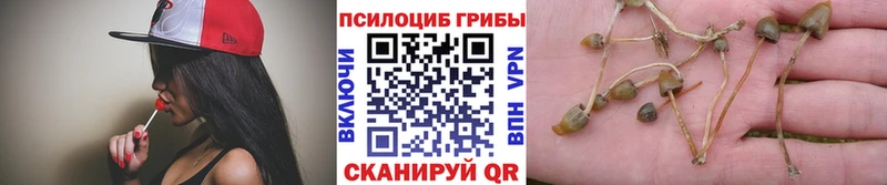 Галлюциногенные грибы мицелий Сосенский
